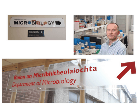 Paul O'Toole APC Alimentary Pharmabiotic Brugère 1