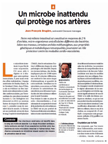 archaeome; gut microbiome; ami-hd; brugere; archaea; archées; Methanomassiliicoccales; archaebiotics; article La Recherche