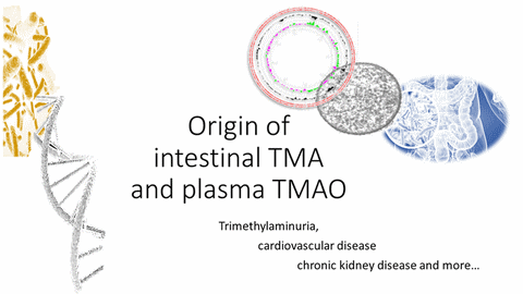 archaeome; gut microbiome; ami-hd; brugere; archaea; archées; Methanomassiliicoccales; archaebiotics