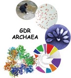 GDR Archae archées CNRS